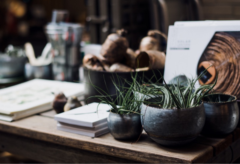 Organized kitchen with plants and vases